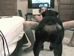 Black dog fucking its pet owner in pet porn